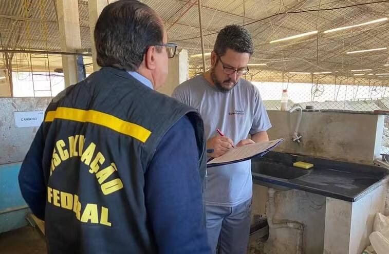 Brasil amplia quadro de auditores-fiscais do trabalho, mas ainda tem menos da metade do efetivo determinado pela OIT