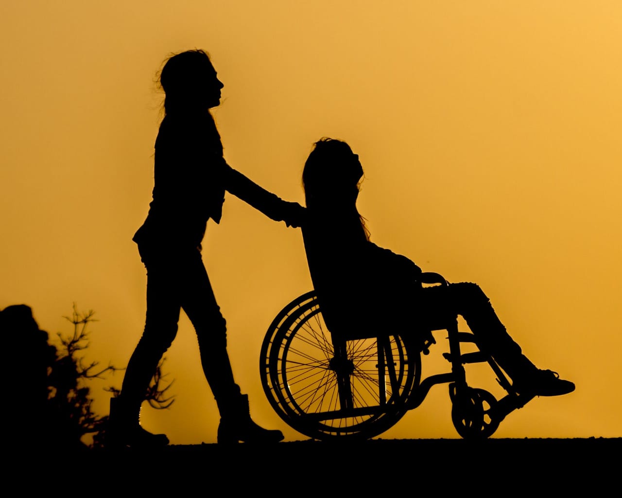 Anamatra quer conhecer realidade de guardiões de pessoas com deficiência