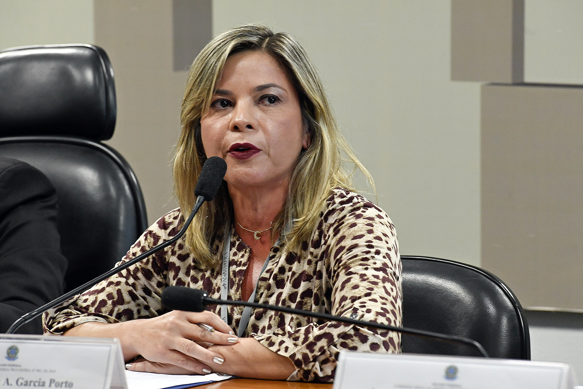 No Congresso, Noemia Porto questiona MP do Contrato Verde Amarelo