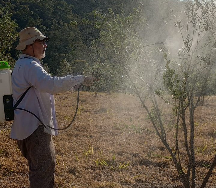 ‘Precisamos de menos agronegócio e mais agricultura’, afirma Renato Abreu